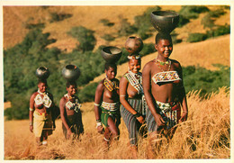 021021 - AFRIQUE DU SUD - Young Zulu Girls Fetching Water, Valley Of 1000 Hills NATAL - Etnique Seins Nu Africain Zoulou - Afrique Du Sud