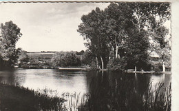 Cpa Coulanges Sur Yonne Les Bords De L'Yonne - Coulanges Sur Yonne