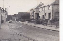 OKEGEM BOSSTRAAT - Ninove