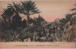 Carte Postale Ancienne /Villa Eilenroc -Cactus Et Agaves /CAP D'ANTIBES/Alpes Maritimes/ Vers1900-1930  CPDIV292 - Cap D'Antibes - La Garoupe