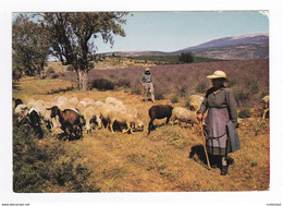 Bergère Berger Et Leur Troupeau En Lozère N°13 049 VOIR ZOOM Belles Chèvres En 1984 Moutons - Sin Clasificación