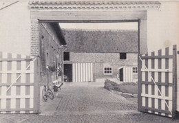 OKEGEM  HOF TE HAZELEER - Ninove