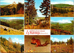 (4 A 16) Germany - Posted To France - Winterberg (with Squirel / Ecureuil) - Winterberg