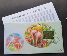 South Africa Year Of Pig 2007 Lunar Chinese Zodiac (FDC) *odd *embossed *unusual - Brieven En Documenten