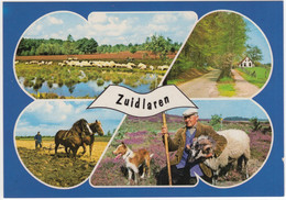 Zuidlaren - (Nederland / Holland) - Nr. 744 - Zuidlaren