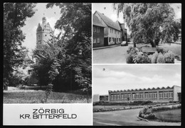 DDR Mehrbild AK Um 1979 Zörbig Kreis Bitterfeld Mit Klubhaus Der Schaltanlagenbauer - Zörbig