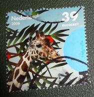 Nederland - NVPH - 2441a - 2006 - Gebruikt - Cancelled - Bedreigde Dieren - Netgiraffe - Giraf - Usati