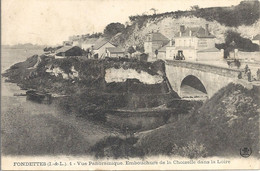 CPA Fondettes Vue Panoramique Embouchure De La Choiselle Dans La Loire - Fondettes