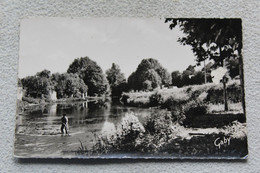 Cpsm, Saint Palais, Le Camping Sur La Bidouze, Pyrénées Atlantiques 64 - Saint Palais