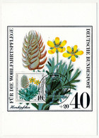 ALLEMAGNE - 4 Cartes Maximum - Fleurs - 9/10/1980 - Autres & Non Classés