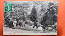 CPA (85)  Forêt De Mervent. Le Rocher De Pierre Brune. .  (AB.923) - Saint Hilaire Des Loges