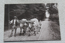 D517, Cpm, Attelage Morvandeau Dans La Forêt, Folklore - Personnages