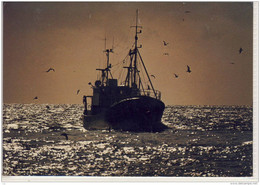Images & Lumiers By Ole Hoyer, Ship, Navire, Schiff  ,     Grand Format - Pêche