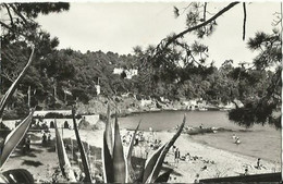 CPSM De LE CANADEL - Echappée Sur La Plage. - Rayol-Canadel-sur-Mer