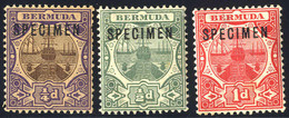 * 1902, 1/4, 1/2, 1d, "SPECIMEN", SG 34,36,38s / 170,- - Bermuda