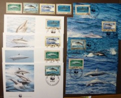 WWF  MONTSERRAT  DOLPHINS  DELFINI  MARINE LIFE  1990 Maxi Card FDC MNH ** #cover 4934 - Collections, Lots & Series