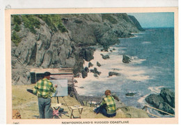 Newfoundland, Rugged Coastline (affrancata, Non Viaggiata) - St. John's