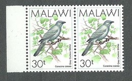 Malawi, 1988 (#509b), Birds Vogel Aves Oiseaux Uccelli Pássaros Ptaki - 1v Single In Pair - Autres