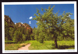 AK 001557 USA - Arizona - Red Rock State Park Bei Sedona - Sedona