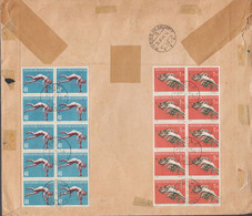 1956. LIECHTENSTEIN. Sport. Complete Set With 4 Stamps In Blocks And Singles In Total... (Michel 342-345) - JF425209 - Briefe U. Dokumente
