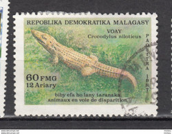 Madagascar, Malagasy, Crocodile, Reptile, Animaux En Voie De Disparition, Airmail, Endanged Specie - Sonstige