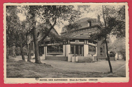 Orroir - Mont De L'Enclus - Hôtel Des Sapinières -1965 ( Voir Verso ) - Kluisbergen