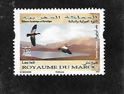 TIMBRE OBLITERE DU MAROC DE 2014 N° MICHEL 1842 - Morocco (1956-...)