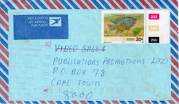 Namibia To South Africa 1992 Postage Due Single Stamp, Fish, Cover PD1 - Namibia (1990- ...)