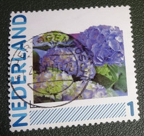 Nederland - NVPH - Persoonlijke Gebruikt - Hallmark - Bloemen - Personalisierte Briefmarken