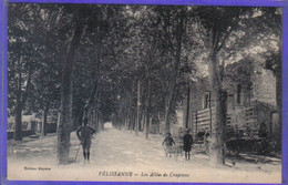 Carte Postale 13. Pélissanne  Les Allées De Craponne Très Beau Plan - Pelissanne