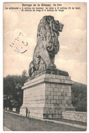 CPA - Carte Postale  Belgique Barrage De La Gileppe Le Lion  1919 VM38520 - Jalhay