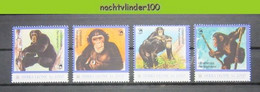 Ngh037ps FAUNA AAP APEN ZOOGDIEREN CHIMPANSEE MONKEYS MAMMALS APES AFFEN SINGES SIERRA LEONE 2010 PF/MNH - Chimpanzees