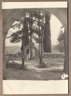 CPSM 83 - COTIGNAC - La Terrasse Devant Notre Dame De Grâce - TB PLAN TB Photographie Artistique - Cotignac