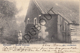 Postkaart/Carte Postale WAREMME - Moulin Dotrenge (C850) - Borgworm