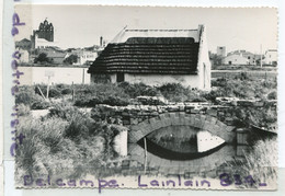 - Camargue - Cabane De Gardian, Petit Pont, Grand Format, Glacée, Non écrite, édit De Saint Gilles,  TTBE, Scans. - Saintes Maries De La Mer