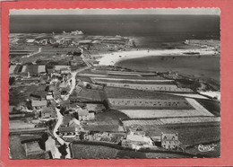 29  PLOUGUERNEAU  HAMEAU DE   CORREJOU  ET  LA  PLAGE   VUE  AERIENNE - Plouguerneau