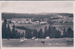 La Côte Aux Fées, Village Et Troupeau De Bétail (4335) - La Côte-aux-Fées