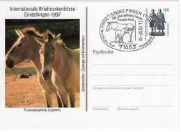 49648 - Bund - 1997 - 100Pfg. SWK PGA-Kte. Przewalski-Pferde M. SoStpl. SINDELFINGEN - PRZEWALSKI-PFERDE - Caballos