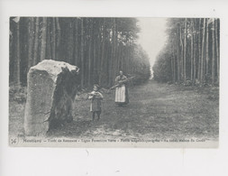 Montigny - Forêt De Roumare, Ligne Forestière Verte, Pierre Mégalithique (grés)1er Salon CP Ancienne 1986 - Dolmen & Menhirs