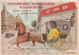 Bagheria Palermo C.a.b. Consorzio Agrario Bagherese Agrumi Prodotti Ortofrutticoli Illustrata Fg Viaggiata In Busta - Other Cities