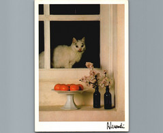 Chat Et Nature Morte - Isabella - Photo Alessandri - 1987 - Cats