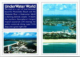 (4 A 22) Australia - QLD - Underwater World - Sunshine Coast