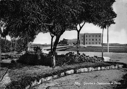 013349 "OLBIA - GIARDINI E CAPITANERIA DI PORTO" VEDUTA.  CART  SPED 19.... - Olbia