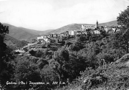 013358 "(NU)  GADONI - PANORAMA M. 700"     VERA FOTO. CART  SPED 1963 - Nuoro