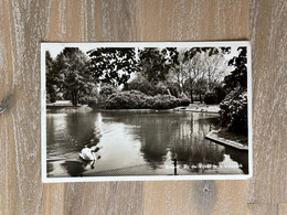 SITTARD - Bij De Vijver In 't Villapark / Uitgave Gebr. Simons - Ubach Over Worms / 1957 Met Stempel Strafport 80c - Sittard