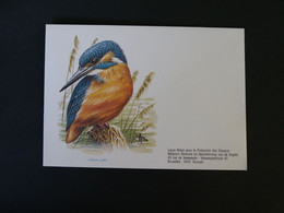 Buzin 2240 Ijsvogel Enveloppe Blanco - 1985-.. Birds (Buzin)