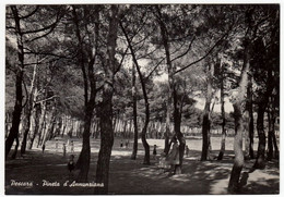 PESCARA - PINETA D'ANNUNZIANA - 1953 - Pescara