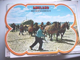 Nederland Holland Pays Bas Ameland Met Reddingsboot Paarden Fraai - Ameland