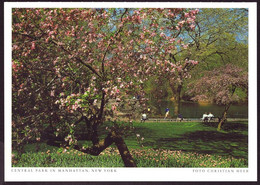 AK 001780 USA - New York City - Central Park In Manhattan - Central Park