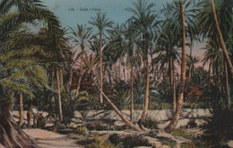 Carte Postale Ancienne/TUNISIE / Dans L'OASIS /1924  CPDIV350 - Tunesien